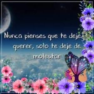 Meet your Posher, Marlene